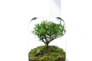 Alternative view of AquaJunkies - Magnetic WRGB LED - Timer, Dimmer, APP Control - NEU!!!